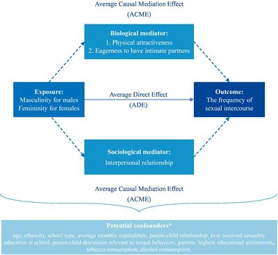 The mediating role of sexually selected traits in the association of androgynous tendencies with lower sexual activeness among Chinese youths